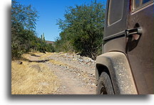 On the way to Comondú #2::Sierra de la Giganta, Baja California, Mexico::