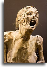 Mummified Woman::Guanajuato, state Guanajuato, Mexico::