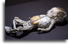 Mummified Little Boy::Guanajuato, state Guanajuato, Mexico::