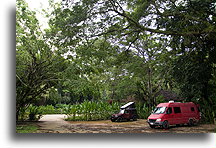 Mayabel Campground in the morning::Palenque, Chiapas, Mexico::