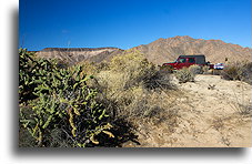 Poranek na pustyni::Pustynia Kalifornii Dolnej, Meksyk::