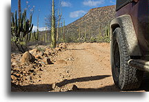 Road to San Borja::Baja California Desert, Mexico::
