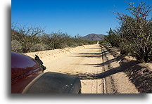 The Straight Road::Baja California Desert, Mexico::