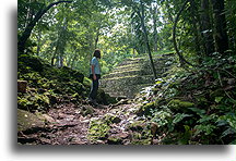 Starożytne miasto w lesie::Yaxchilán, Chiapas, Meksyk::