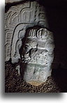 Stone Head::Yaxchilán, Chiapas, Mexico::