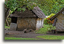 Huts on Malakula #1::Malakula Island, Vanuatu, South Pacific::