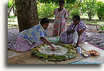 Traditional dish Lap-lap::Malakula Island, Vanuatu, South Pacific::