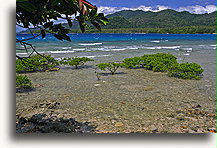 Wybrzeże w Norsup #1::Wyspa Malakula, Vanuatu, Południowy Pacyfik::