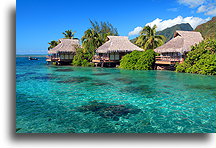By the Water::Moorea, French Polynesia::