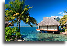 Nad laguną::Moorea, Polinezja Francuska::