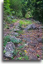 Ancient Road #1::Nuku Hiva, Marquesas::