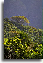 Taipivai Waterfall #1::Nuku Hiva, Marquesas::
