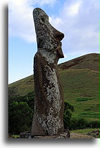 Niezwykły moai::Wyspa Wielkanocna::