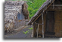 Village on Tanna #2::Tanna Villages, Vanuatu, South Pacific::