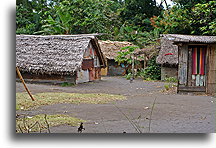 Village on Tanna #5::Tanna Villages, Vanuatu, South Pacific::