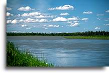 Leniwa rzeka Yukon::Alaska, Stany Zjednoczone::
