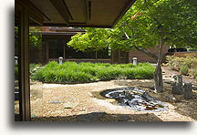 Japanese Garden::Rosenbaum House, Alabama, United States::