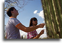 Matt, Eva and Saguaro::Sonoran Desert, Arizona, USA::