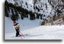 Shoulder of Bell Trail::Aspen Mountain, Colorado, USA::