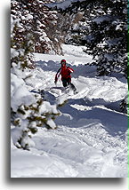 Skier at Champagne Glade::Vail, Colorado, USA::