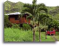 Dom w lesie tropikalnym::Kauai, Hawaje::