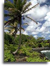 Plaża czarnego piasku Pa`iloa #2::Wyspa Maui, Hawaje::