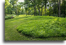 Animal-shaped Mound #1::Effigy Mounds, Iowa, USA::