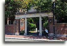 Cambridge Campus #1::Uniwersytet Harvard, Massachusetts, Stany Zjednoczone::