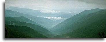 Hazy-Blue Fog::Great Smoky Mountains, North Carolina::