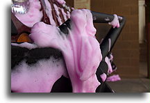 We love that pink foam::Utah, USA::