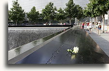 Biała róża #2::Miejsce pamięci 11 września 2001 roku, Nowy Jork, USA<br /> sierpień 2013::