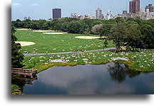 Great Lawn::Central Park, New York City, USA::