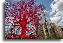 Giant red tree sculpture::New York City, USA::