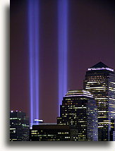 Tribute in Light::Tribute in Light<br /> March 11, 2002::