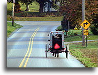 Buggy #1::Lancaster County, Pennsylvania, United States::