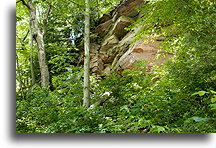Rock Formation in Meadowcroft::Meadowcroft, PA, United States::
