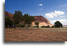 Lunch in the shade of trees::Beef Basin, Utah, USA::