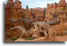 Queen Victoria Point::Bryce Canyon, Utah, USA::