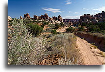 Approaching the Needles::Needle District in Canyonlands, Utah, USA::