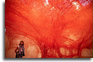 Art of 180 kilometres of red thread::Adelaide, Australia::