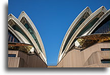 Muszle::Budynek opery w Sydney, Australia::