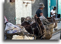 With Two Donkeys::Cap-Haïtien, Haiti, Caribbean::