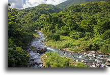 Buff Bay River::Blue Mountains, Jamaica::
