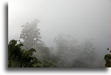 Fog::Blue Mountains, Jamaica::