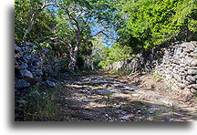 Road to Plantation::North Caicos, Turks and Caicos::