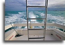 Podróż łodzią::Parrot Cay, Turks i Caicos::
