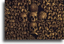 Skulls in a Cross Pattern::Catacombs, Paris, France::