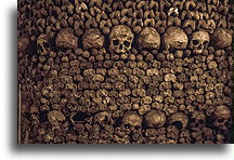 Stacked Skulls and Femurs::Catacombs, Paris, France::
