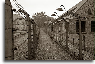 Electrified barbed wire::Auschwitz Concentration Camp::