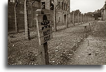 Obozowe ogrodzenie #1::Obóz koncentracyjny Auschwitz::